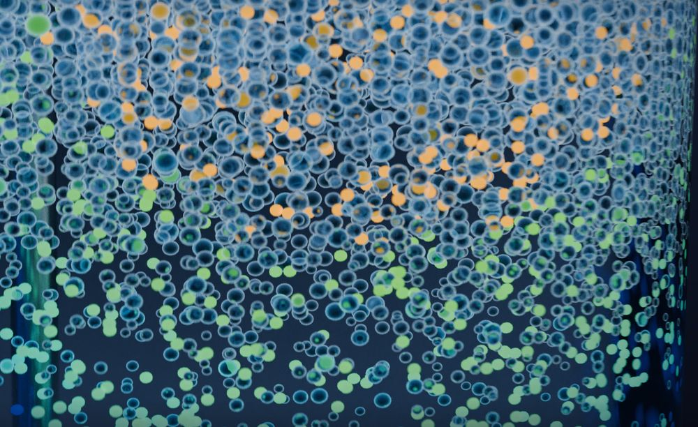 Simulated cells and gas bubbles under the feed point, coloured by the substrate each cell sees.